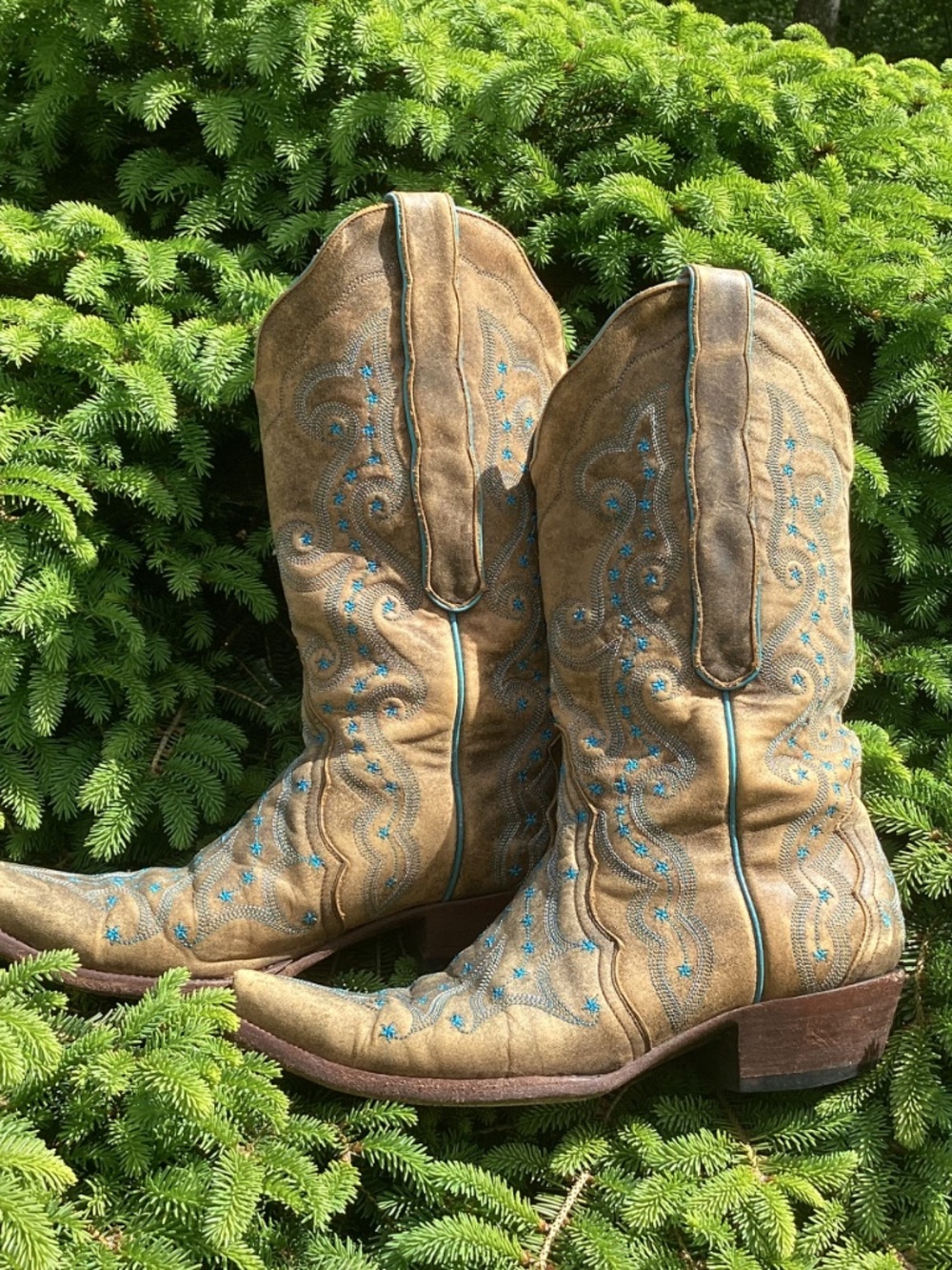 Old Gringo Outstanding Unique Small Blue Star Detailed Distressed Cowgirl Boots - Picture 3 of 16